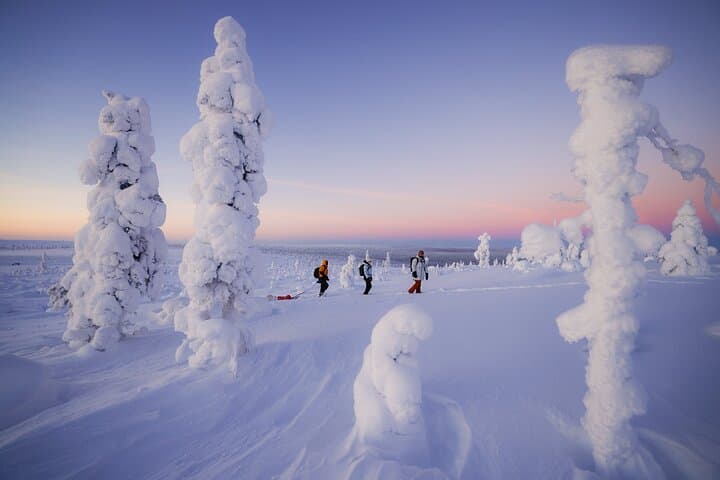 Private Lapland Snowshoe & Trekking Ski Adventure from Rovaniemi photo 3