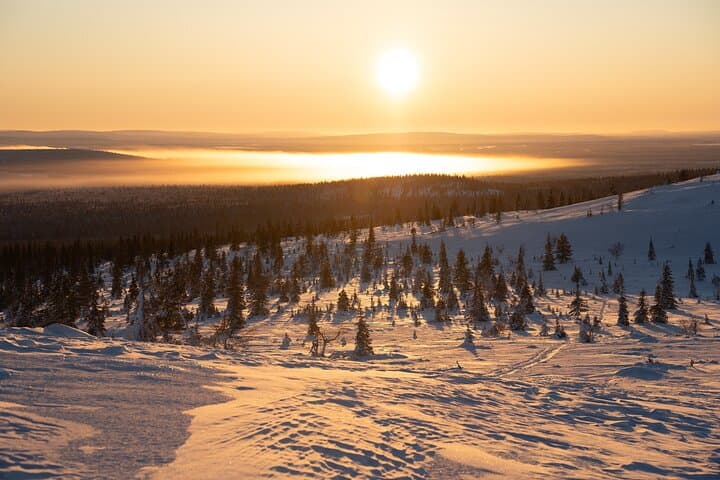 Private Lapland Snowshoe & Trekking Ski Adventure from Rovaniemi photo 6