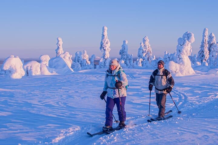 Private Lapland Snowshoe & Trekking Ski Adventure from Rovaniemi