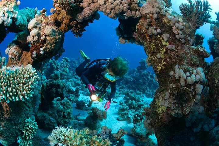 Three Dives in Phi Phi Islands: Certified Diver Day Trip from Phuket