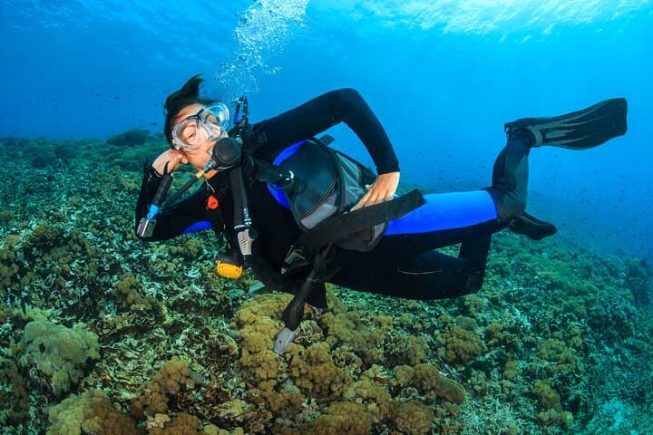 Advanced PADI Open Water Course in Phuket: 5 Dives Over 2 Days