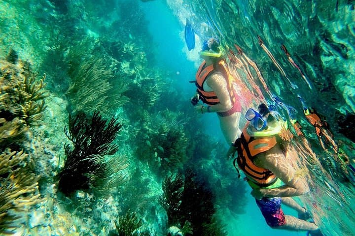 Snorkel Puerto Morelos Reef: Half-Day Tour with Lunch & Hotel Transport photo 1