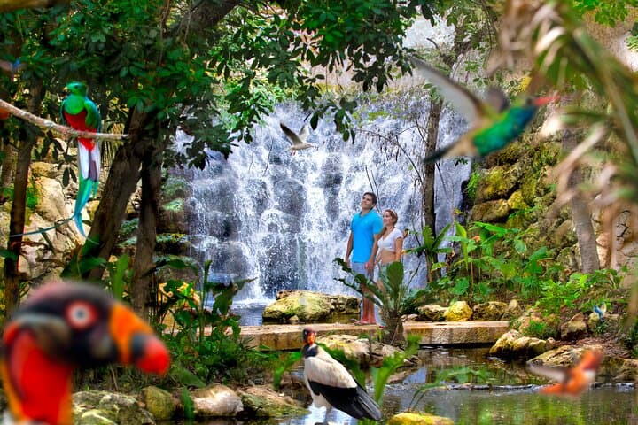Chichen Itza & Xcaret Combo: Two-Day Cenote, Ruins & Eco-Park Adventure photo 5