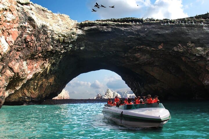 Paracas & Huacachina Day Trip from Lima: Ballestas Islands, Vineyard Tour & Sunset Sandboarding photo 5