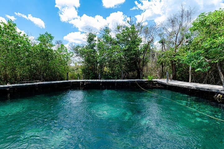 Day trip to Holbox: Cenote Yalahau, Isla de la Pasión & Punta Mosquito photo 6