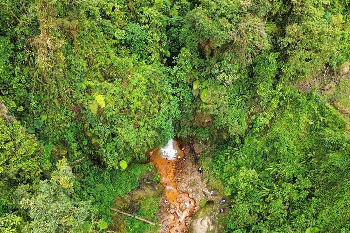 Iral Cloud Forest Day Pass: Trails, Wildlife & Lunch Near San José photo 6