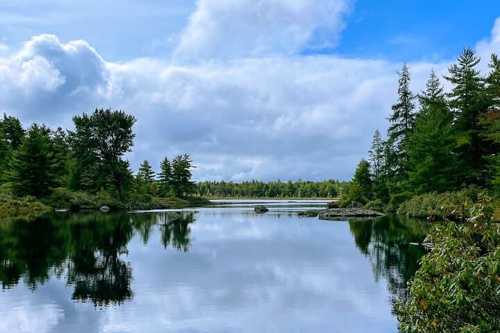 Medway Lakes 3-Day Canoe & Camp: Paddle Boot Lake to Kejimkujik Wilderness photo 5