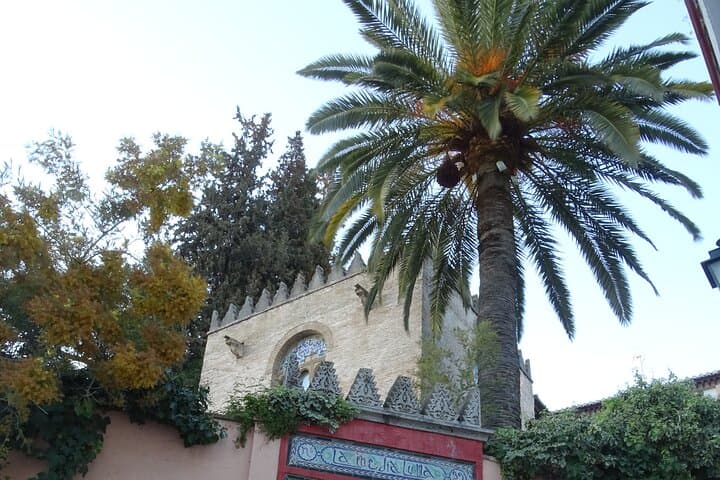 Albaicín and Sacromonte Walking Tour: Sunset Views, Carmen Houses and Flamenco Roots photo 6