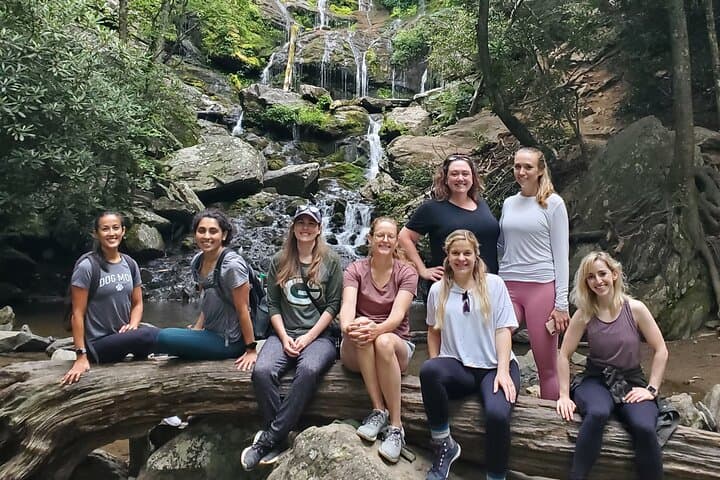 Half-Day Waterfall Hiking Tour from Asheville to Pisgah National Forest photo 4
