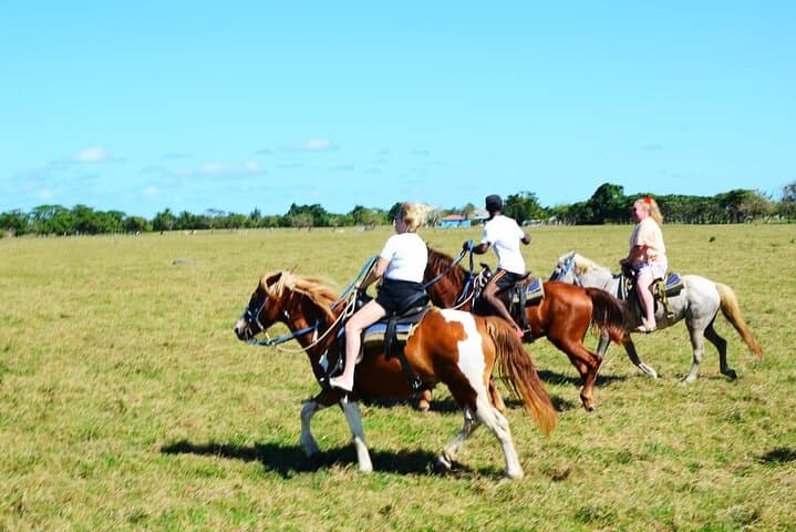Discover Galloping Adventures at Bavaro Beach photo 5