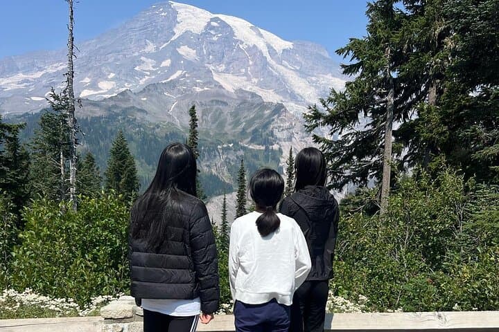 Full-Day Mount Rainier Tour from Seattle: Private SUV or Sprinter Van photo 5