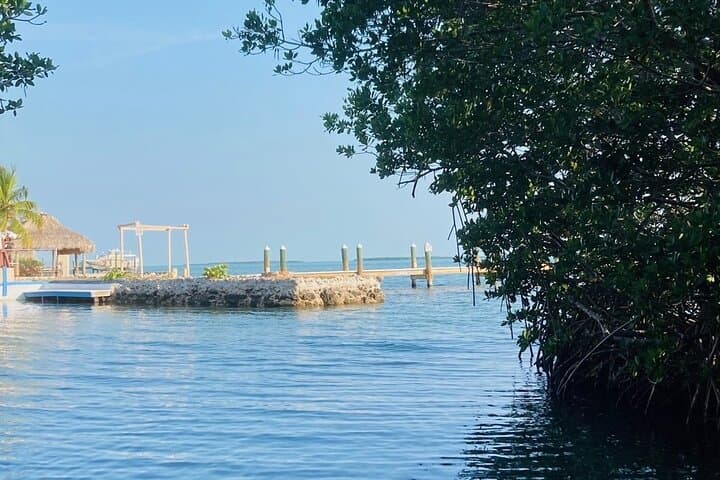 Private Sunset Cruise Key Largo: VIP 90-Min Boat Charter photo 5