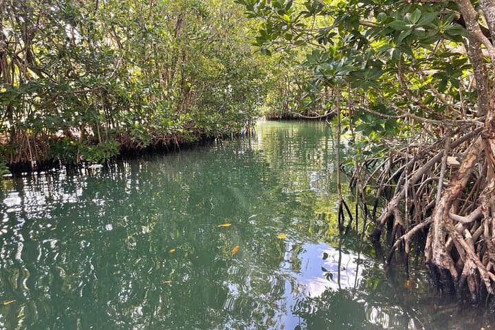 Private Sunset Cruise Key Largo: VIP 90-Min Boat Charter photo 6