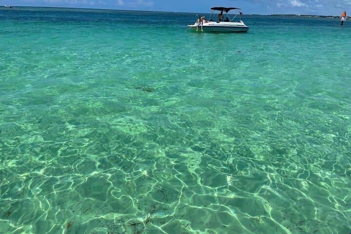 Private Snorkel and Sandbar Boat Charter in Key Largo — VIP Day Trip photo 6