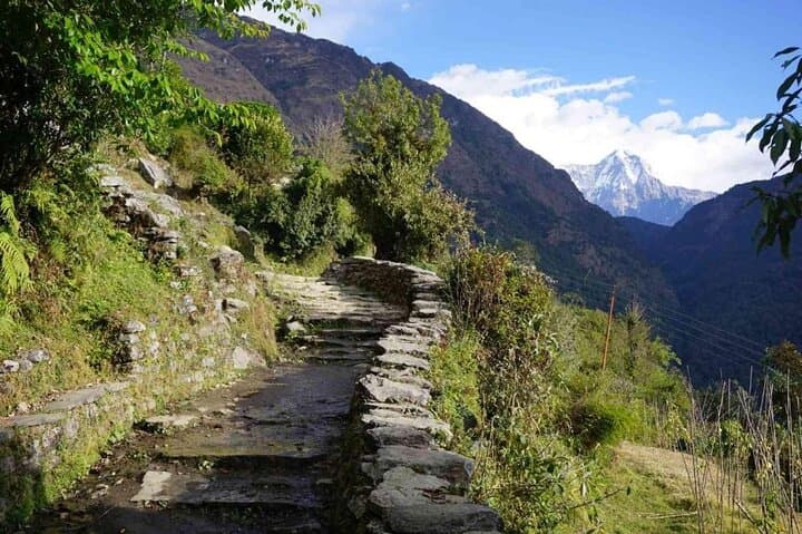5-Day Poon Hill & Mulde Viewpoint Trek from Pokhara — Annapurna Sunrise Trek photo 4
