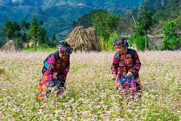 Ha Giang to Dong Van: 2-Day Karst Plateau Highlights & Homestay photo 5