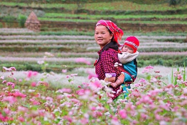 Ha Giang to Dong Van: 2-Day Karst Plateau Highlights & Homestay photo 6