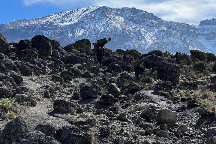 8-Day Lemosho Route Kilimanjaro Climb — Moshi to Uhuru Peak photo 2