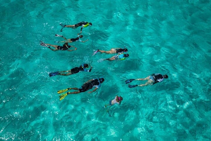 Snorkeling in Amorgos: Zodiac Trips to Nikouria’s Crystal Waters photo 4