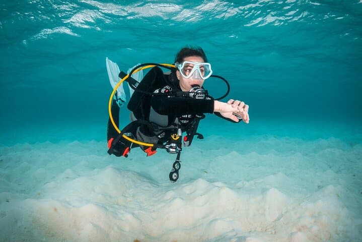Introductory Scuba in Amorgos: SSI Try-Dive from Aegiali Beach photo 4