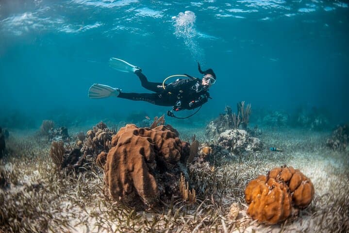 Introductory Scuba in Amorgos: SSI Try-Dive from Aegiali Beach photo 5