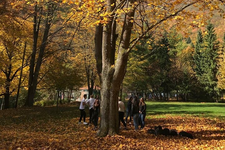 Vrelo Bosne Nature Park Day Trip from Sarajevo photo 6