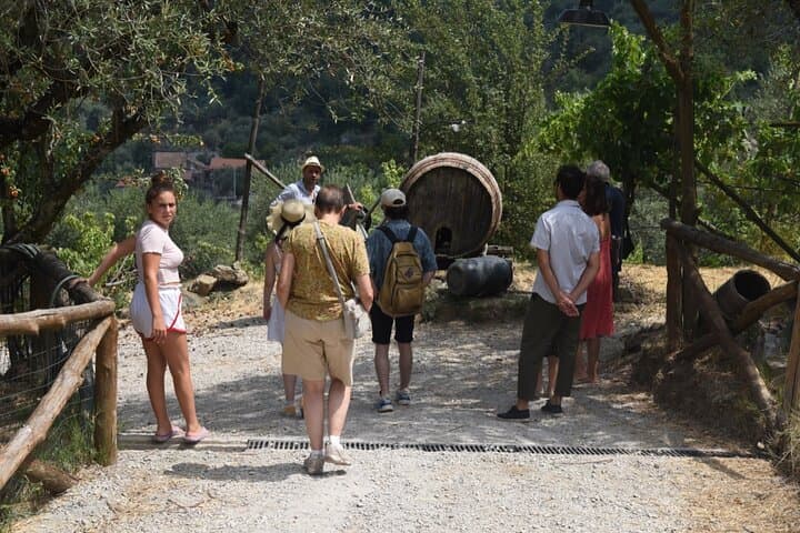 Sorrento Half-Day Farm Experience: Pizza, Cheese & Wine Workshop photo 2