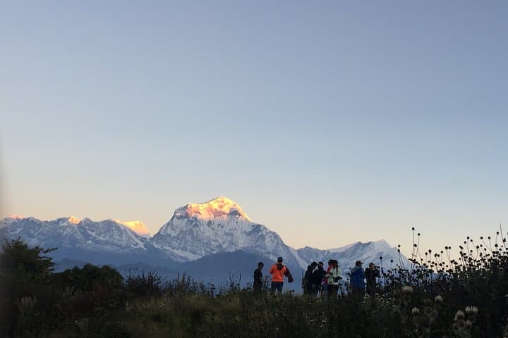 Helicopter to Annapurna Base Camp: 2-Hour Scenic Flight from Pokhara photo 2