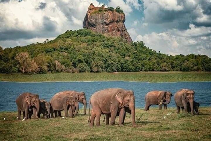 Sigiriya and Dambulla Day Trip from Passikudah: Climb Lion Rock & Explore Cave Temples in One Day