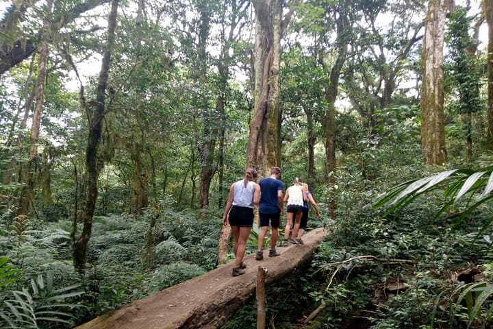 Tamblingan Jungle Trek: Bali Rainforest, Lake & Waterfall Adventure photo 3