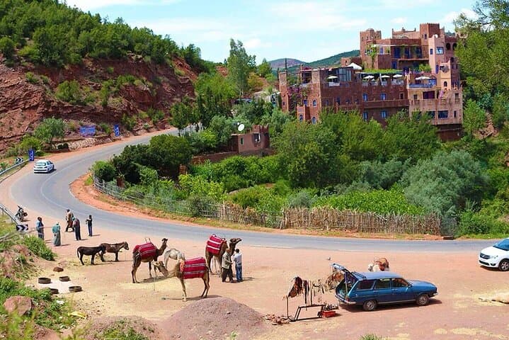 Ourika Valley Day Trip from Marrakech: River Walks, Waterfalls & Camel Ride photo 2