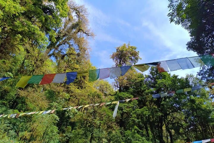 2-Day Shivapuri Chisapani Sunrise Trek from Kathmandu photo 3