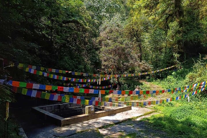2-Day Shivapuri Chisapani Sunrise Trek from Kathmandu photo 4