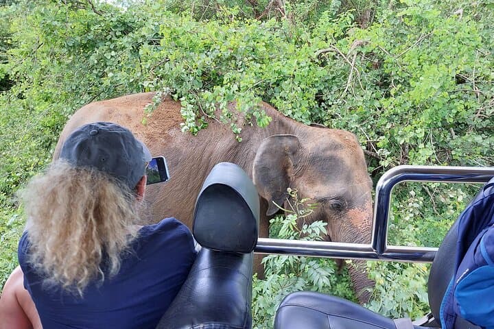 Yala National Park Safari: Spot Leopards, Elephants and Coastal Wetlands photo 1