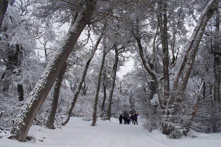 Trekking to Laguna Esmeralda (Emerald Lagoon) — Full-Day Hike from Ushuaia photo 6