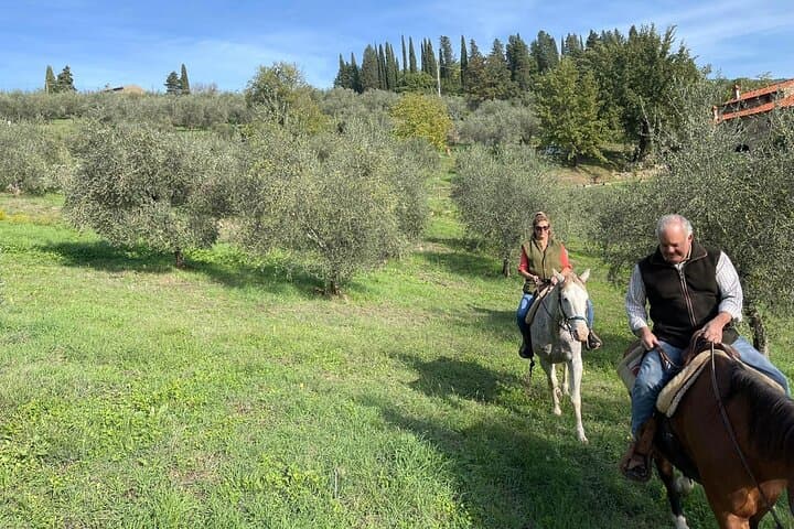 Chianti Truffle Hunt, Horseback Ride & Tuscan Lunch from Florence photo 2