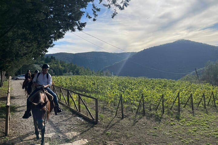 Chianti Truffle Hunt, Horseback Ride & Tuscan Lunch from Florence photo 6