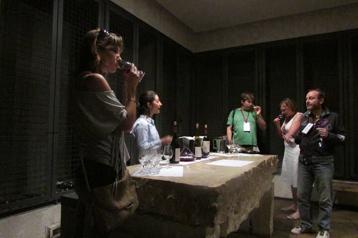 Mendoza Wine Route: Full-Day Private Maipú Wine & Olive Oil Tour with Lunch photo 3