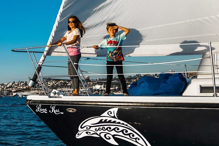 San Diego Half-Day Marine Wildlife Sailing Tour with Lunch photo 3