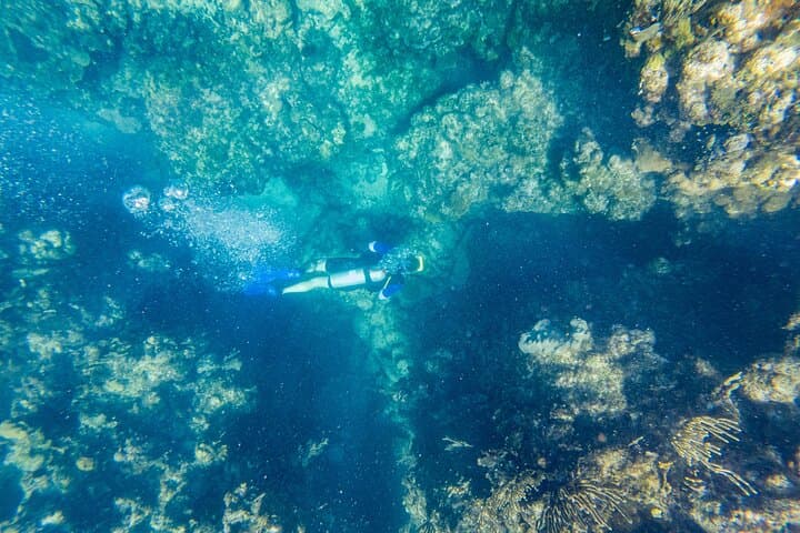 Shore-Accessible Scuba in Roatán’s West End — Quick Boat Rides to the Mesoamerican Reef photo 6