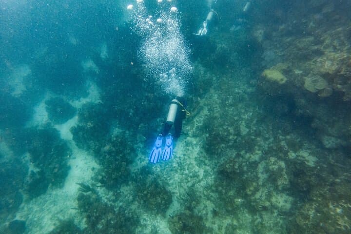 Shore-Accessible Scuba in Roatán’s West End — Quick Boat Rides to the Mesoamerican Reef photo 4