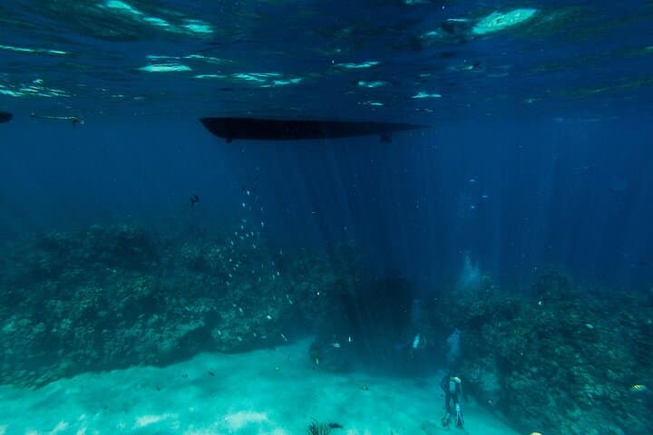 Shore-Accessible Scuba in Roatán’s West End — Quick Boat Rides to the Mesoamerican Reef photo 3