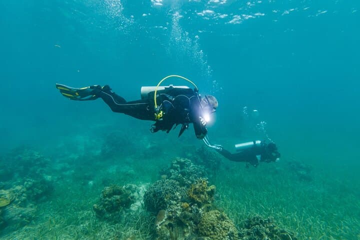 Shore-Accessible Scuba in Roatán’s West End — Quick Boat Rides to the Mesoamerican Reef