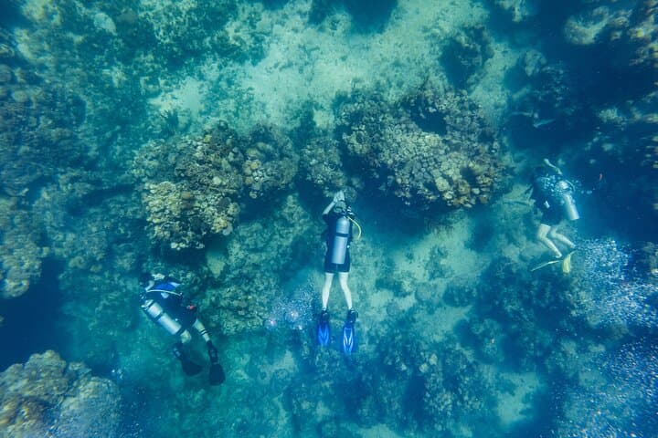 Shore-Accessible Scuba in Roatán’s West End — Quick Boat Rides to the Mesoamerican Reef photo 5