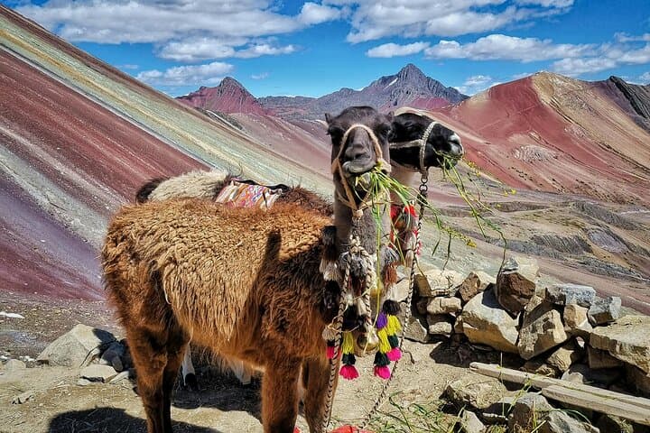 2-Day Machu Picchu and Rainbow Mountain ATV Adventure from Cusco
