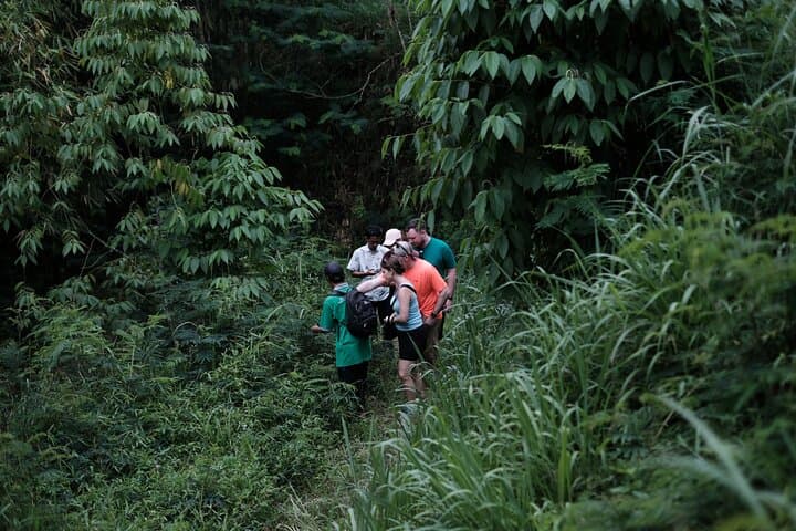 Mount Merapi Soft Trek and Botanic Village Tour — Yogyakarta Day Hike