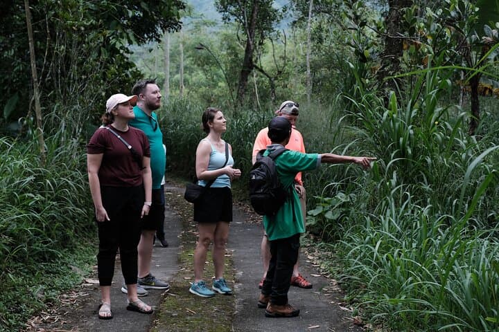 Mount Merapi Soft Trek and Botanic Village Tour — Yogyakarta Day Hike photo 2