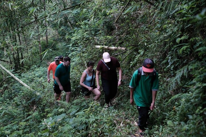 Mount Merapi Soft Trek and Botanic Village Tour — Yogyakarta Day Hike photo 3