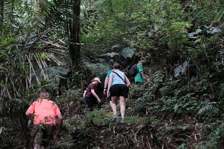 Mount Merapi Soft Trek and Botanic Village Tour — Yogyakarta Day Hike photo 4