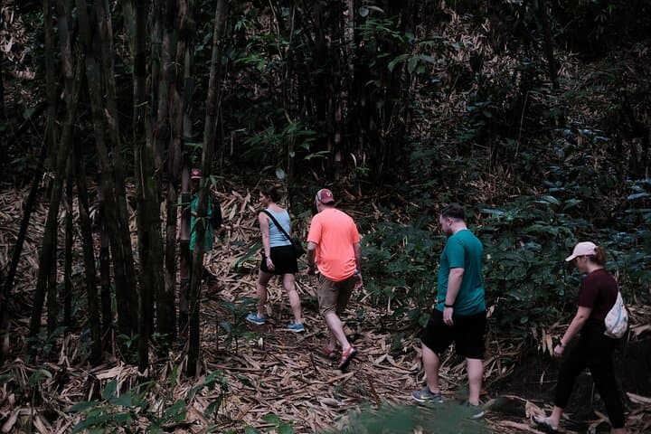 Mount Merapi Soft Trek and Botanic Village Tour — Yogyakarta Day Hike photo 5